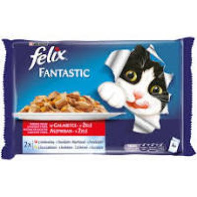 Félix 3+1 alut.Marha-Csirke aszpikban